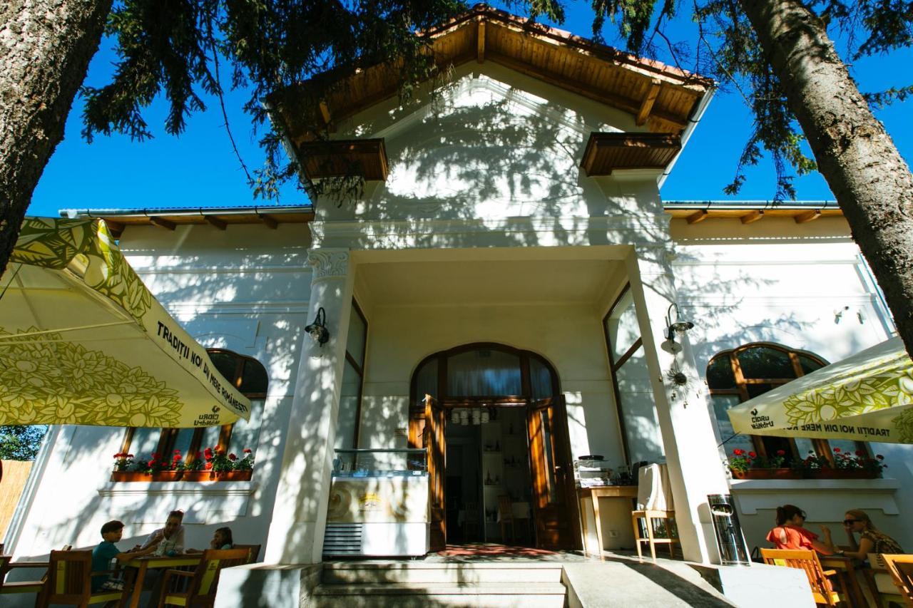 Casa Del Sole Otel Alba Iulia Dış mekan fotoğraf